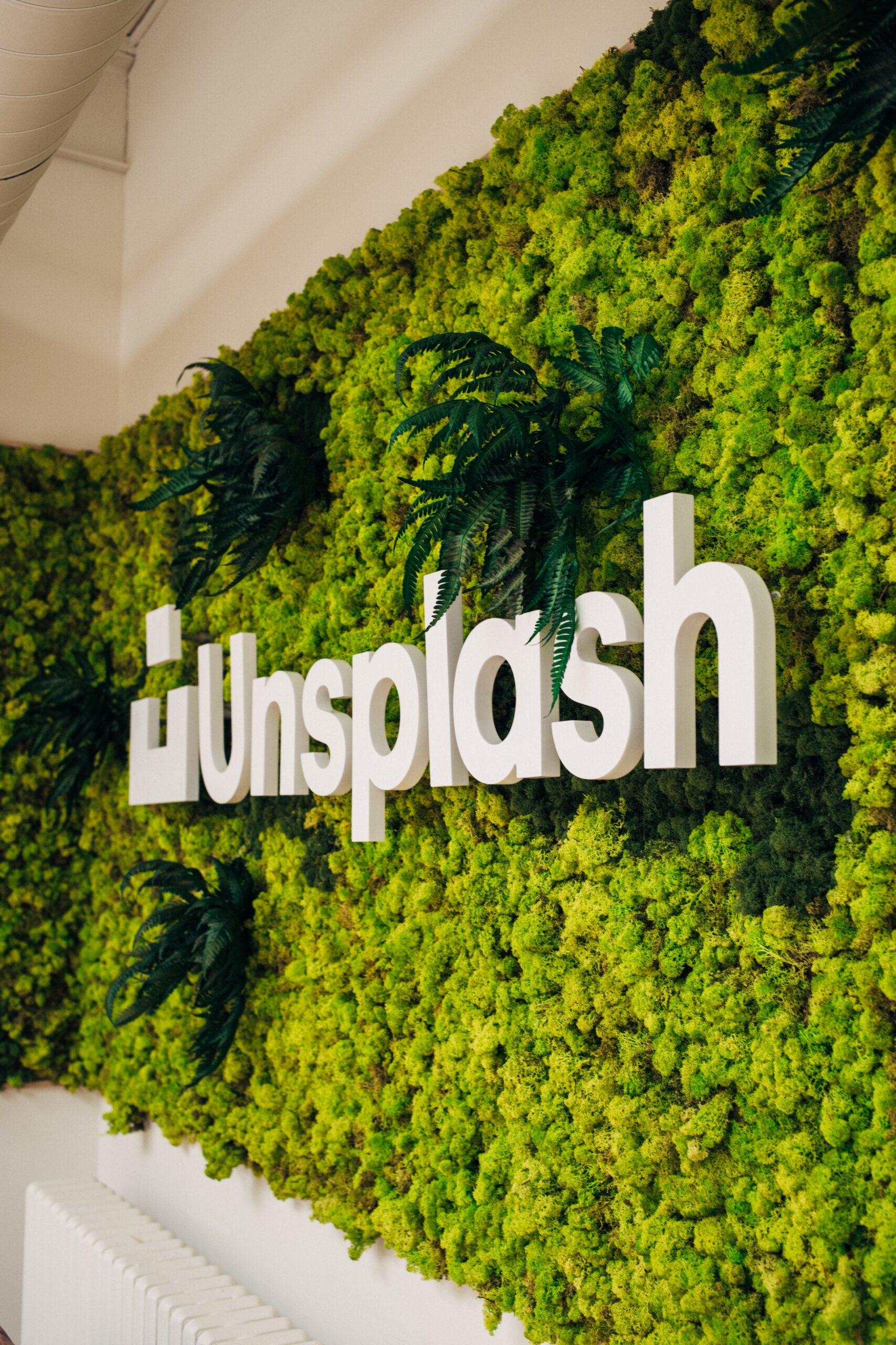 Brilho Visual: Desvendando o Unsplash no Article Factory