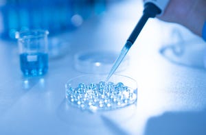 Fertility: How IVF Patients Turn to AI for Guidance and Caution