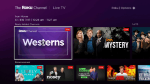 Roku Announces AI-Powered Advertising Platform Targeting Small Businesses