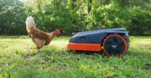 Inside The Verge Senior Reviewer’s Smart Backyard Tour