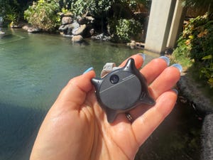 Cat‑Shaped AI Wearable Camera Promises Lifelong Lifelogging