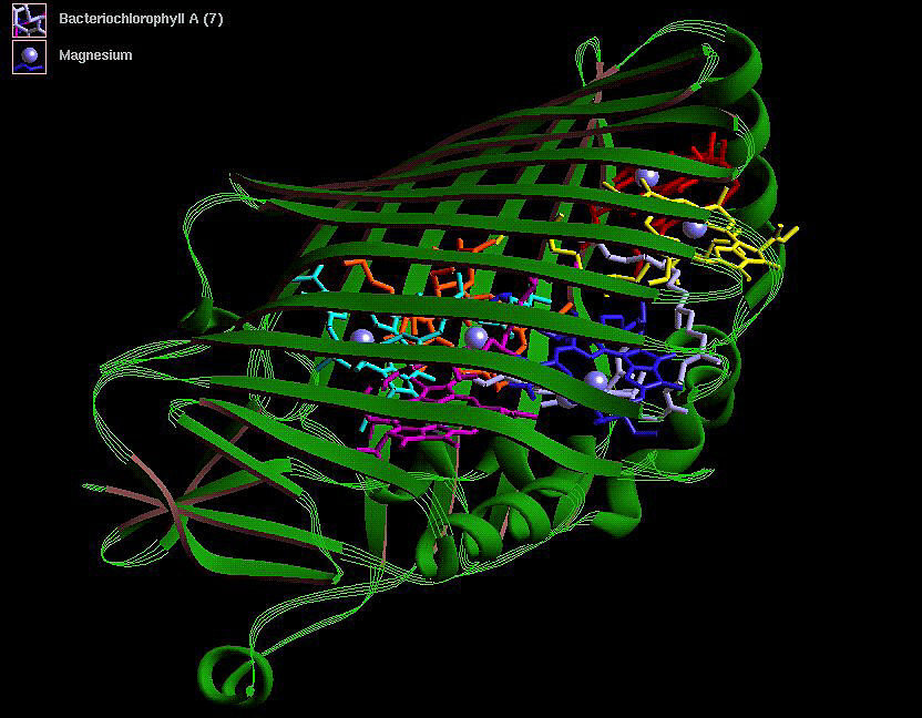 Researchers Warn of Gap in DNA Screening as AI-Designed Toxins Emerge