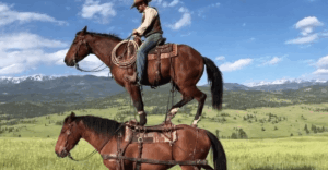 Sora Adds User Controls for AI-Generated Video Appearances