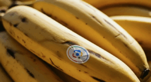 Google expands Nano Banana AI image editor to Search, NotebookLM, and Photos