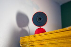 Google’s Gemini AI Misidentifies Pets in Smart‑Home Alerts