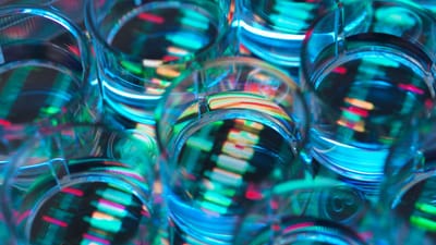 Chai Discovery Secures 0 Million Series B, Valued at .3 B Chai Discovery Secures 0 Million Series B, Valued at .3 B