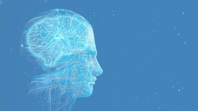 Robotics Software Maker Skild AI Secures .4 B Series C, Valuation Tops  B