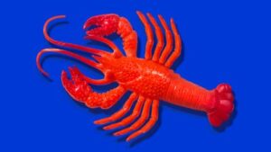 OpenClaw Rebrands and Expands Its AI Assistant Ecosystem